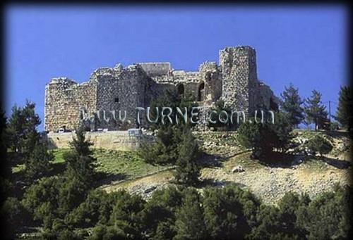 Отель Ajloun Forest Reserve 3*