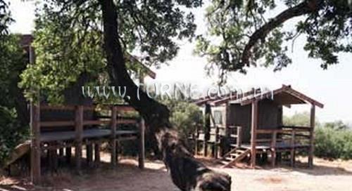 Fotografii Azraq Wetland Reserve 3*