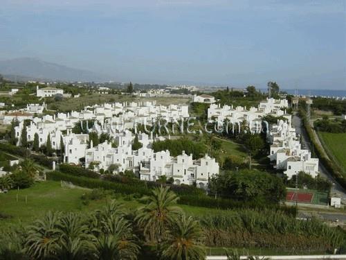 Изображение Los Pintores 3*