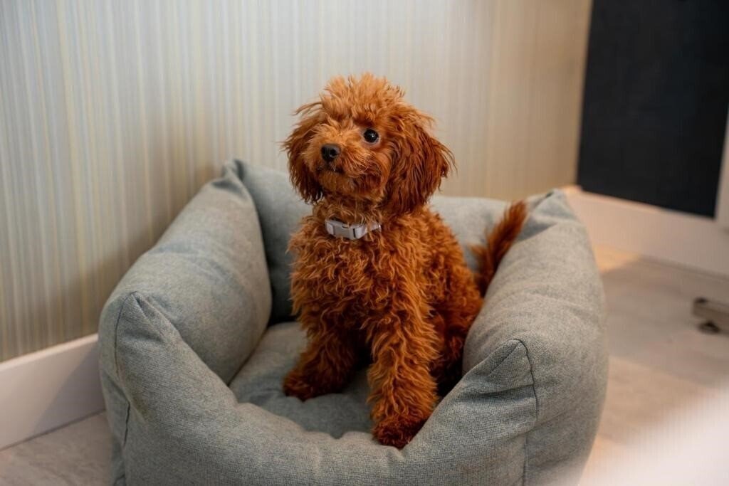 Imaginea Malaga Nostrum 3*