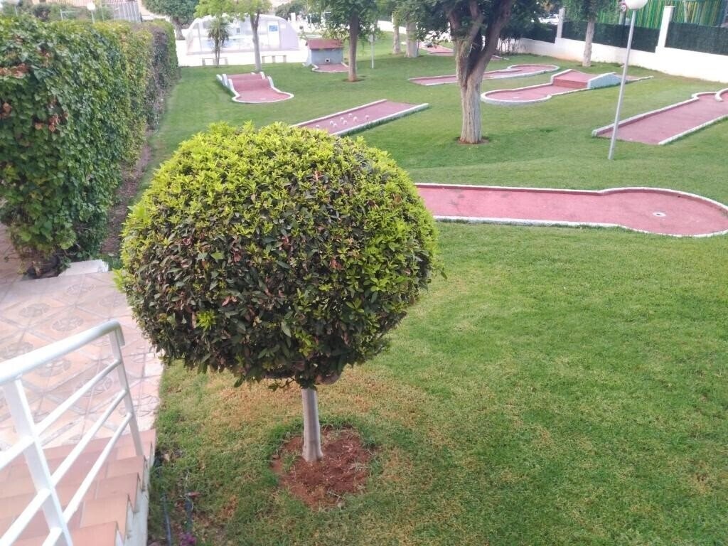 Imaginea Gemelos VIII 2*