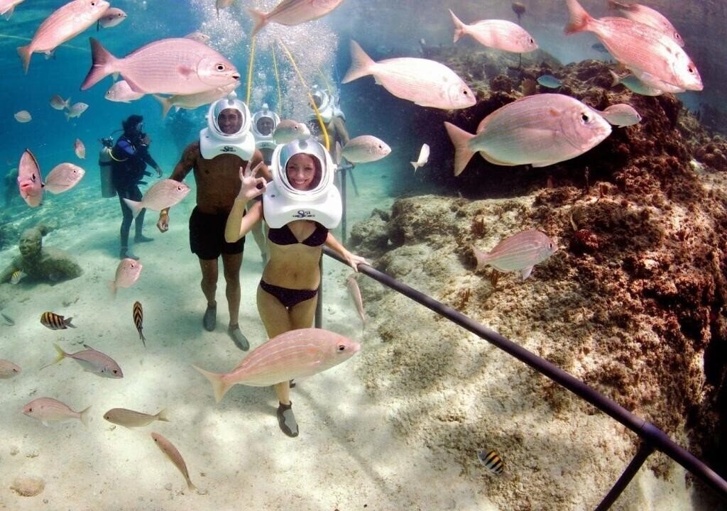 Fotografie Nervion 3*