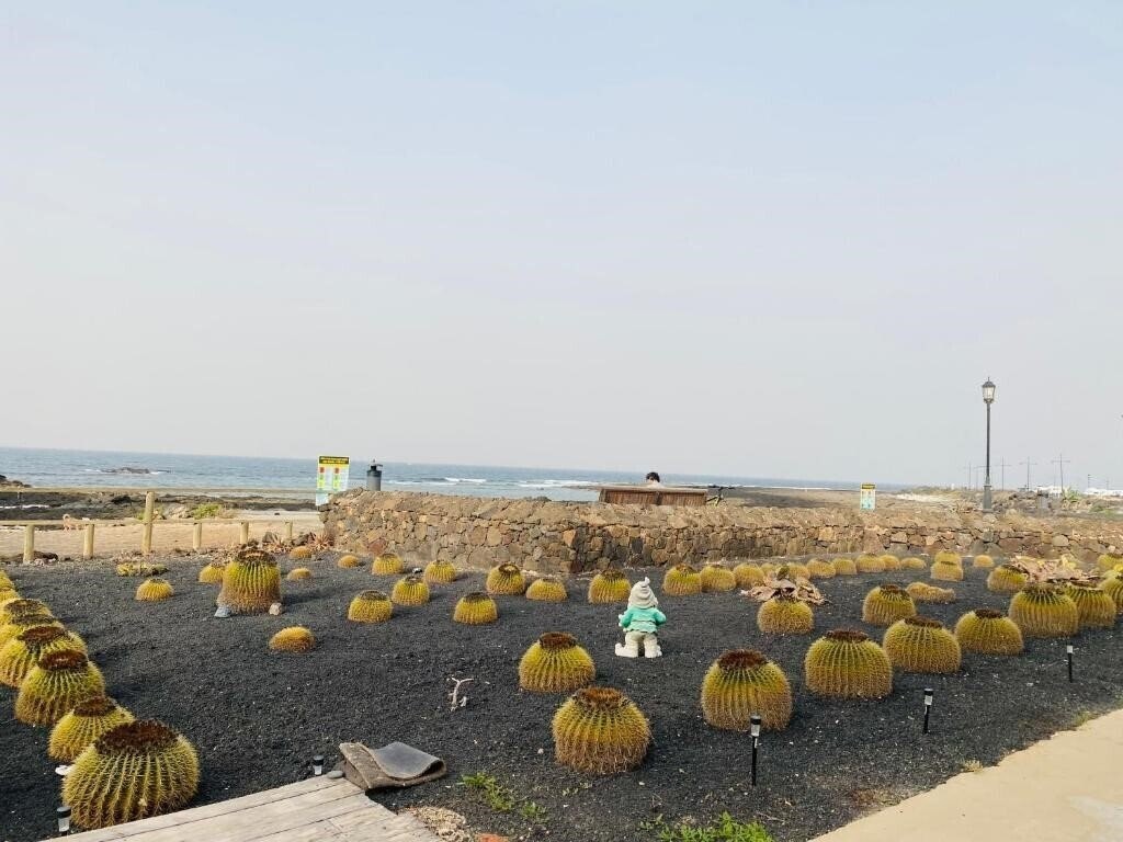 Imaginea Mision Costa 3*