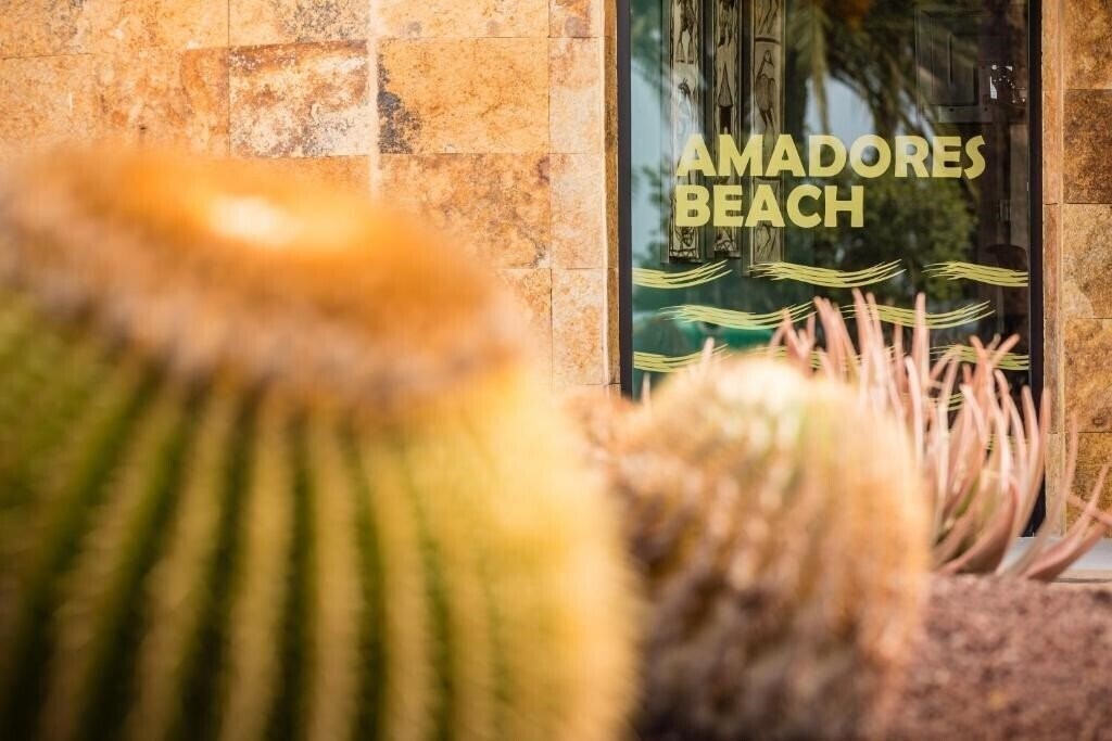 Fotografie Apartamentos Amadores Beach 3*