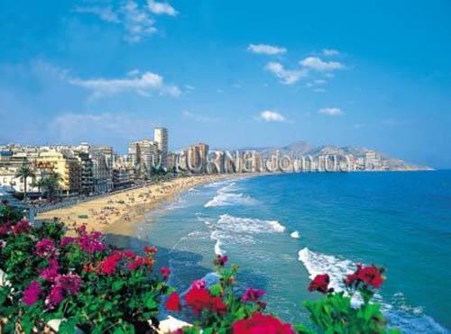 Imaginea Solymar 4*