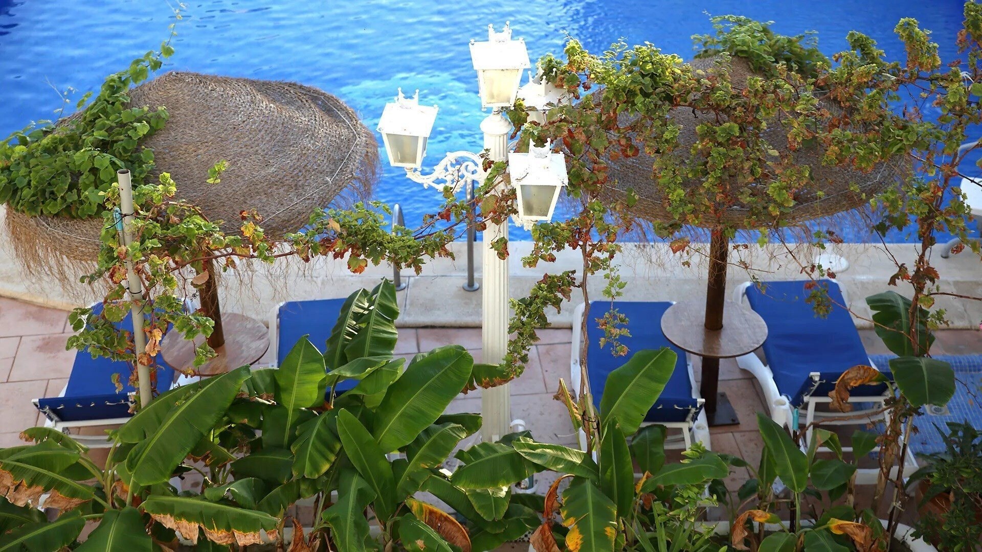 Fotografie Brasilia 3*