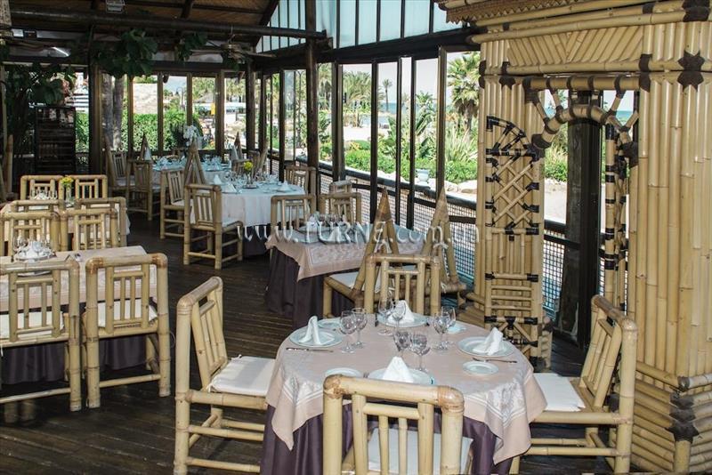 Imaginea Ms Tropicana 4*