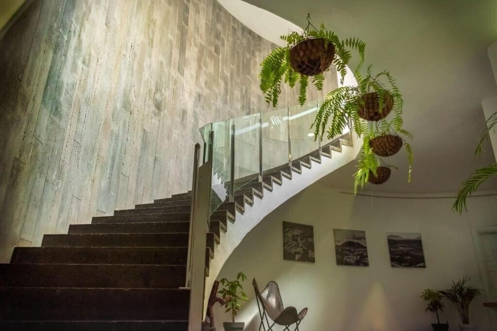 Fotografie Hyde Park Lane 3*