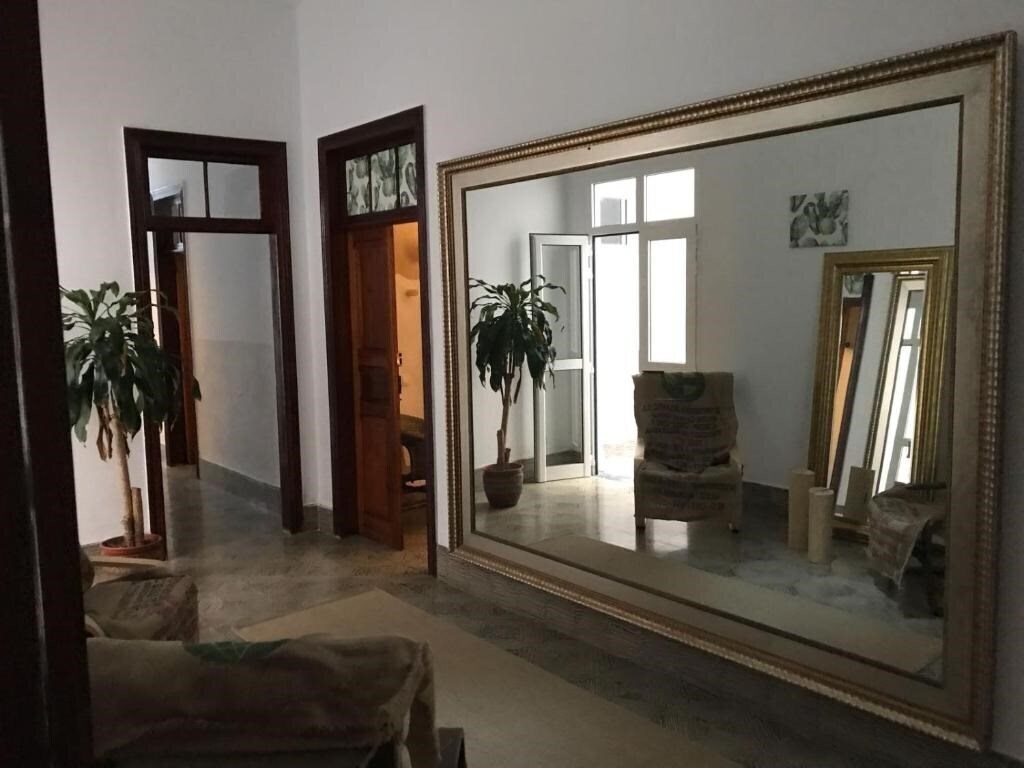 Fotografie Cactus Host 2*