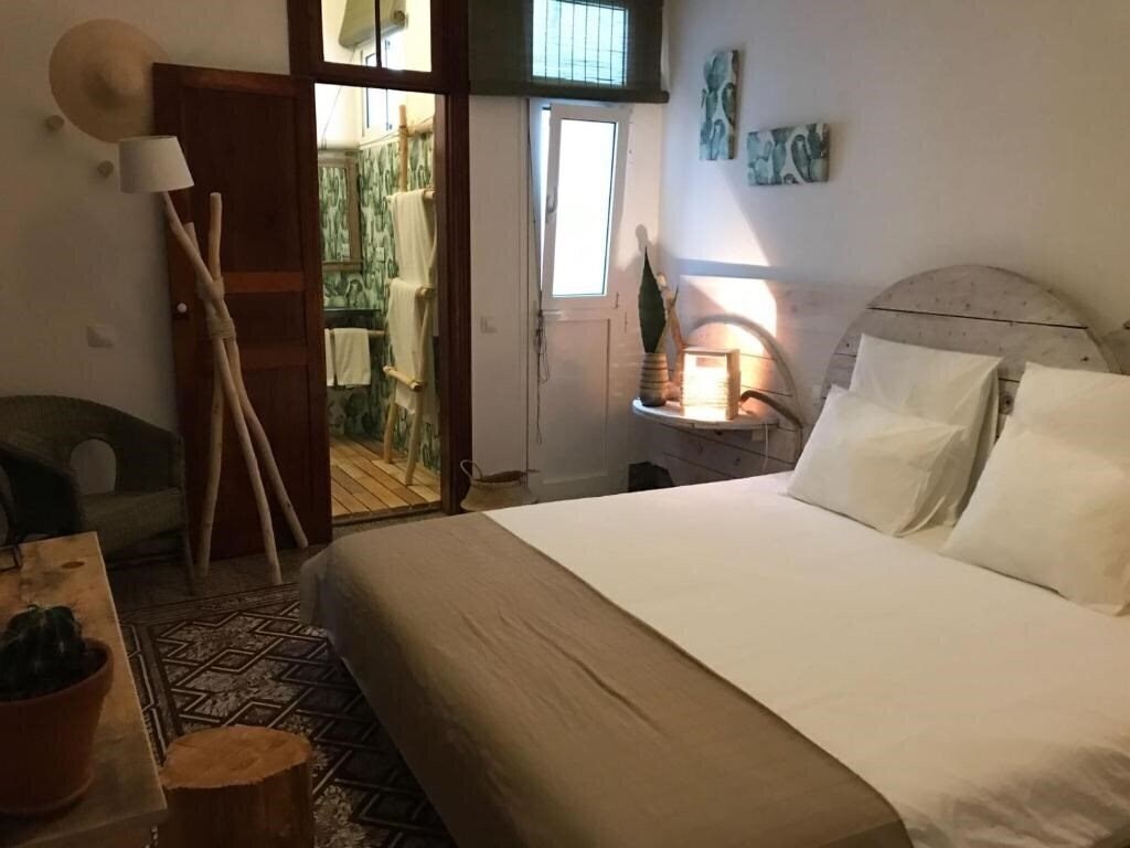 Imaginea Cactus Host 2*