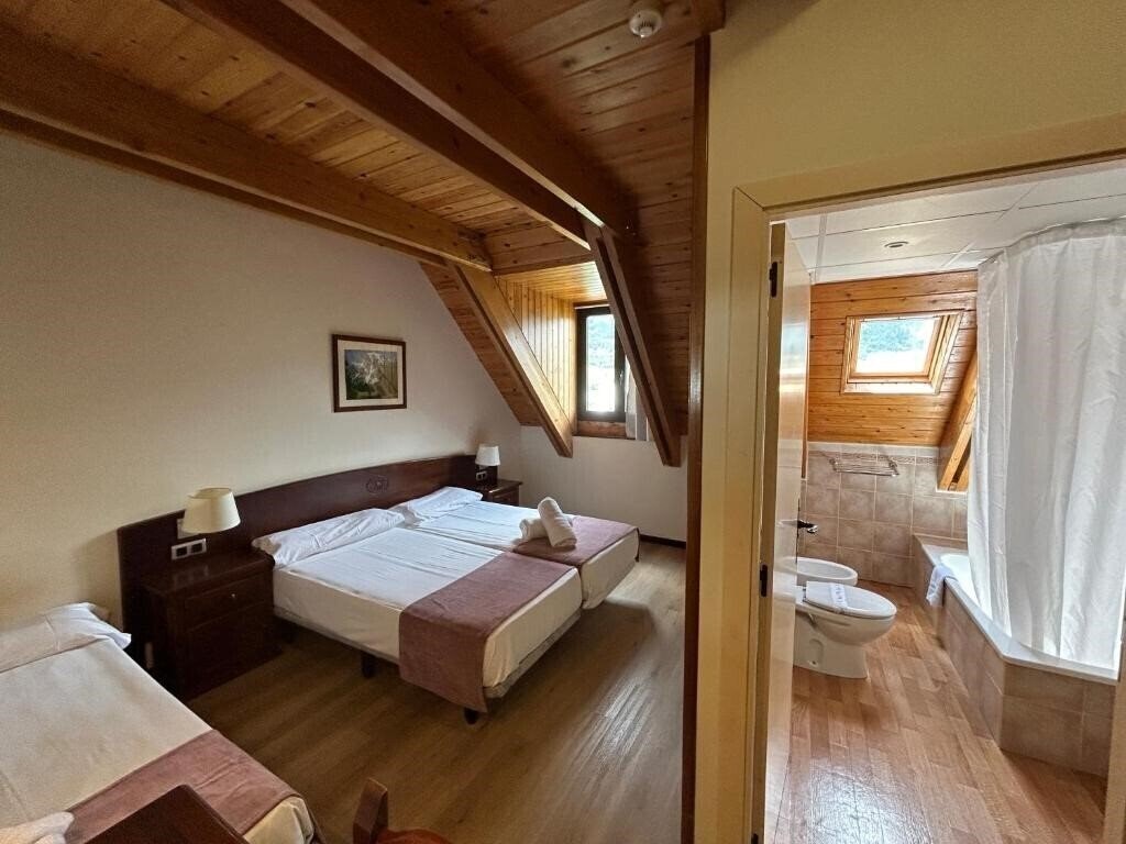 Imaginea Hotel Romanic 3*