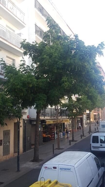 Fotografii Juan Ramon 1*