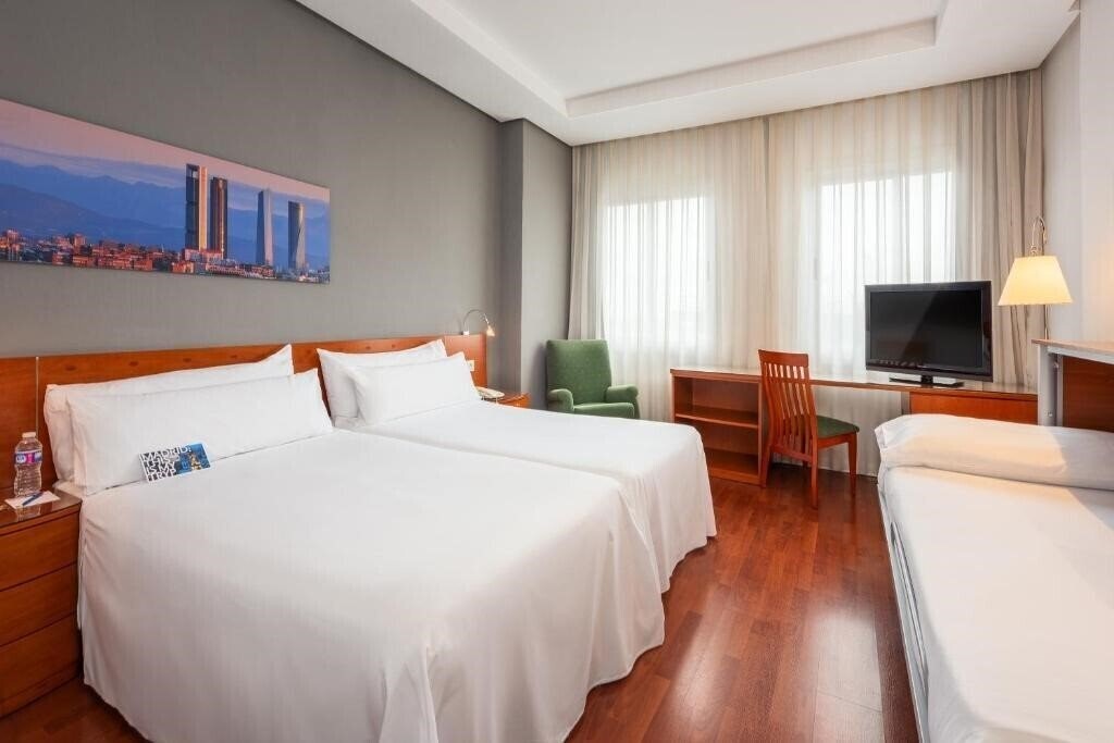 Fotografii Tryp Madrid Chamartin Hotel 3*