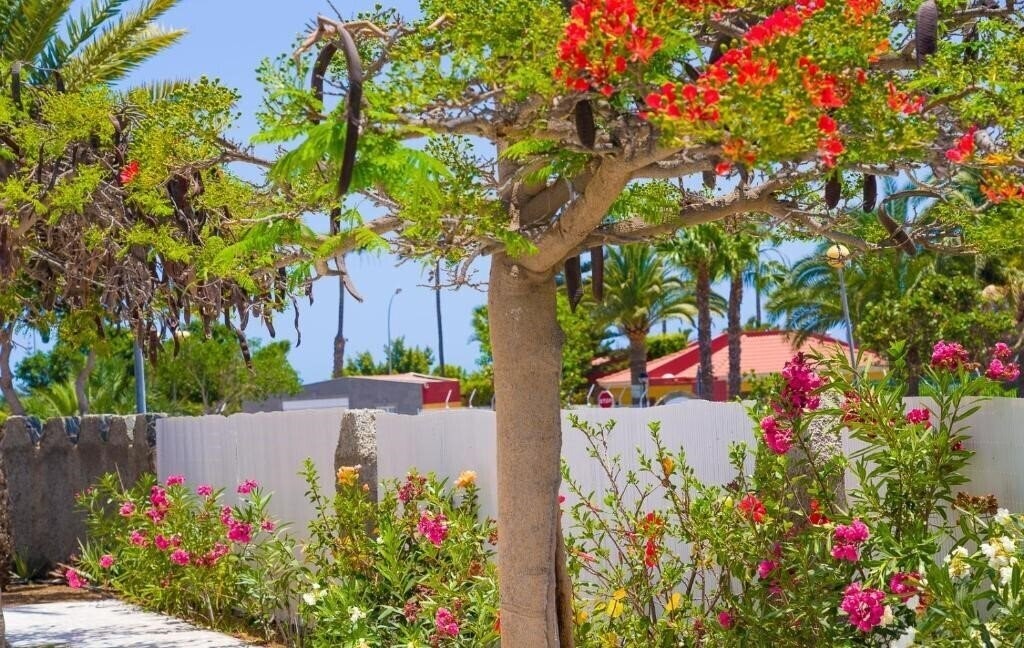 Imaginea Bungalows Las Almenas 2*