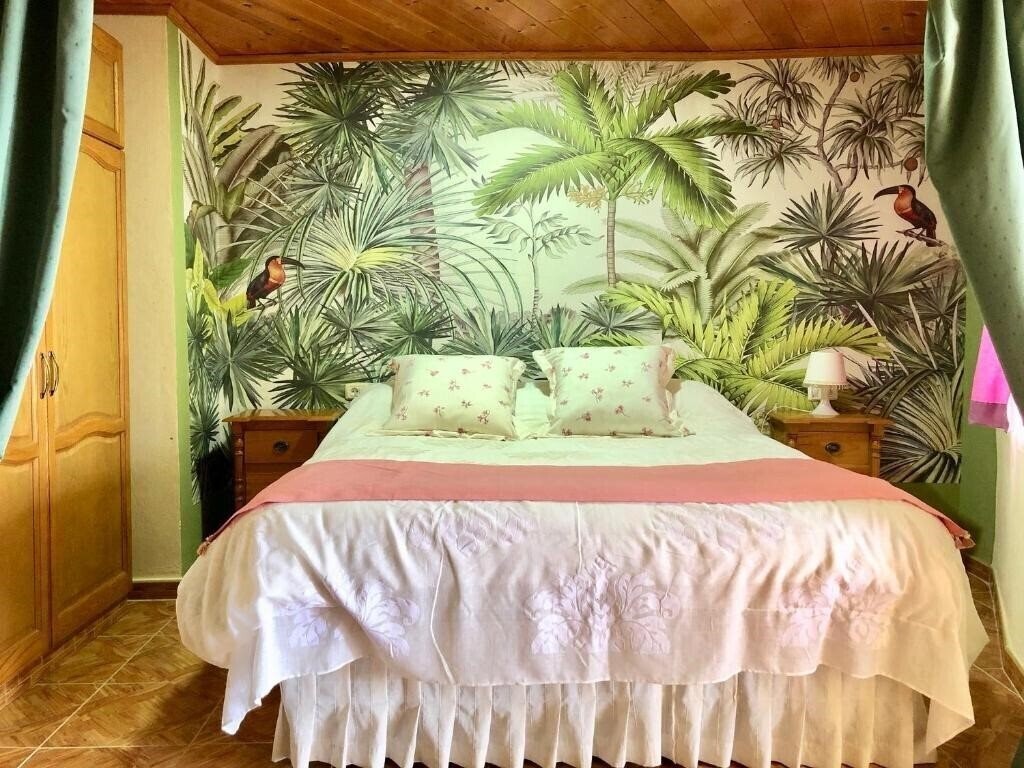 Fotografii Estrella Del Norte 3*