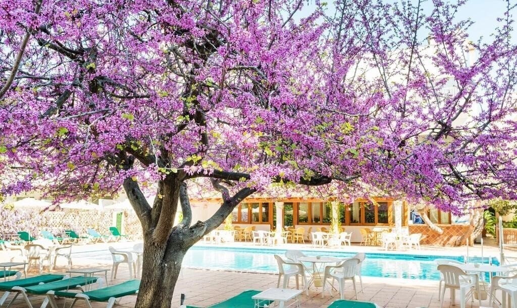 Hotel Gaya Hotel 3*