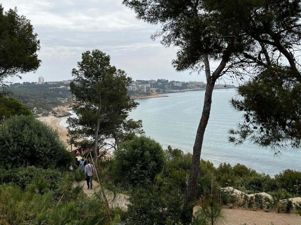 Imaginea Cal Dorada Apart 3*