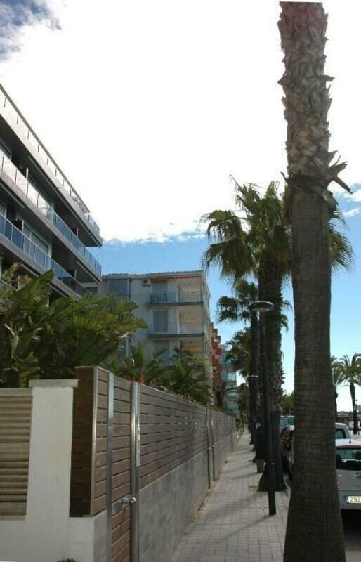 Изображение Palmas 7 Apt 3*