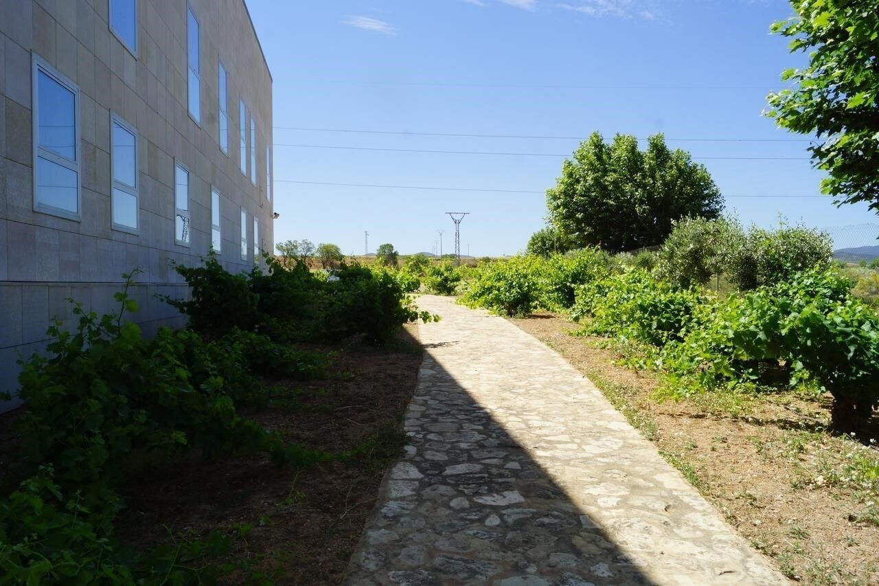 Fotografii Del Vino 3*