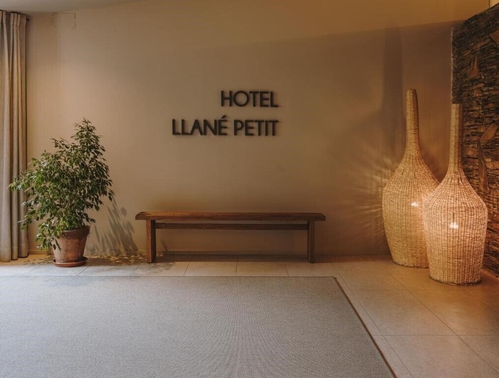 Imaginea Hotel Llane Petit 3*