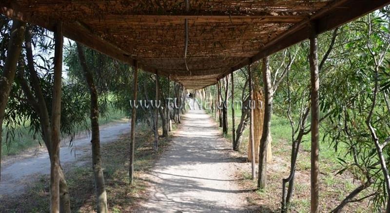 Отель Akiris 4*