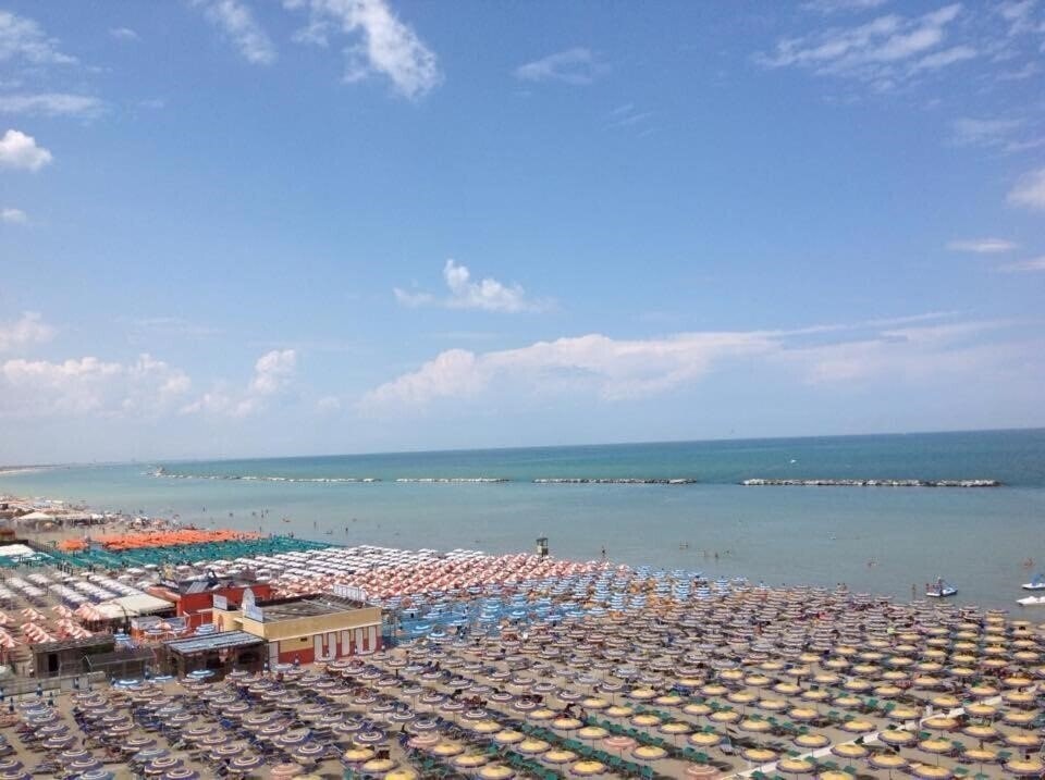 Imaginea David Hotel (Cesenatico) 3*