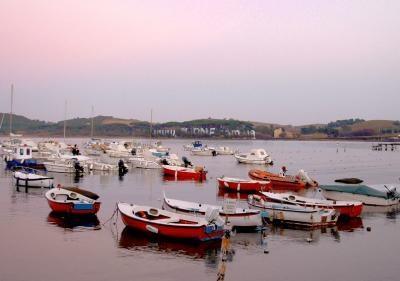 Hotel Poggio all'Agnello Residential Resort Country & Beach 3*