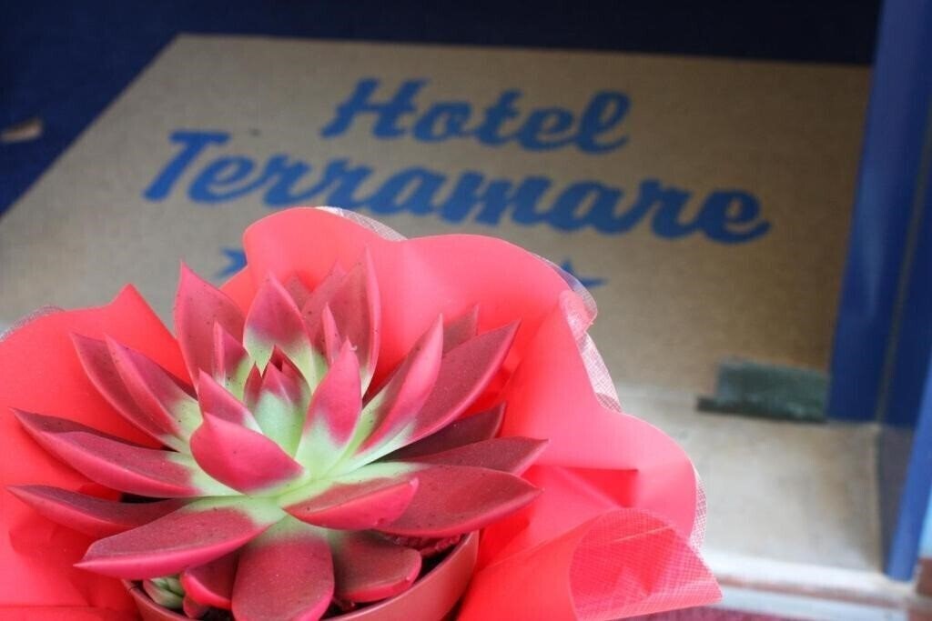 Hotel Terramare 3*
