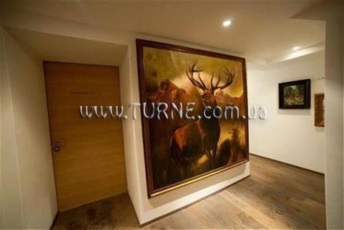 Imaginea Cervo 3*