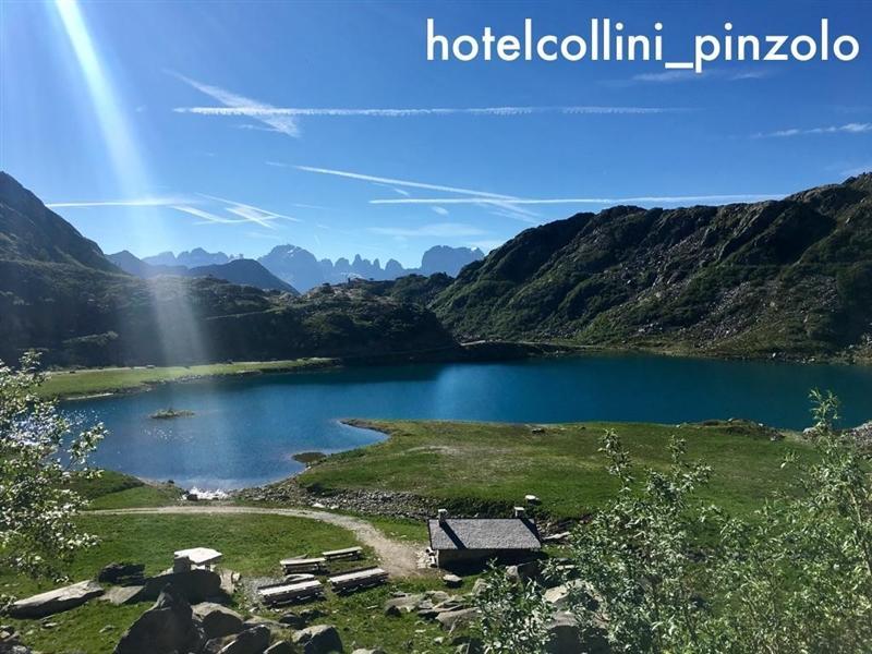 Отель Collini 3*