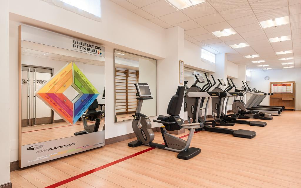 Изображение Sheraton Parco De' Medici Rome 4*
