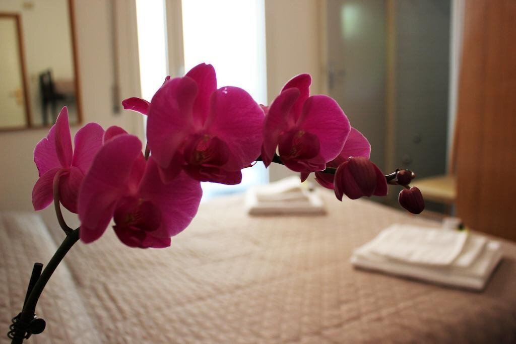 Fotografii Hotel Leda 2*