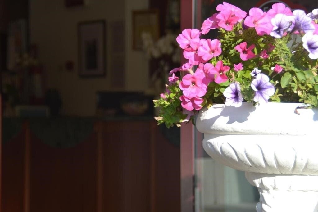 Fotografie Bel Sogno 3*