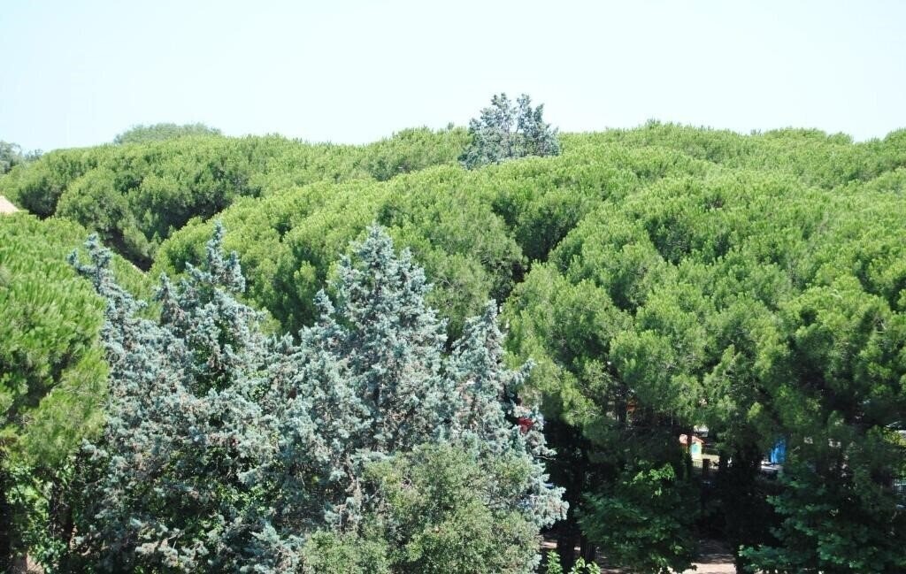 Imaginea Capriccio 4*