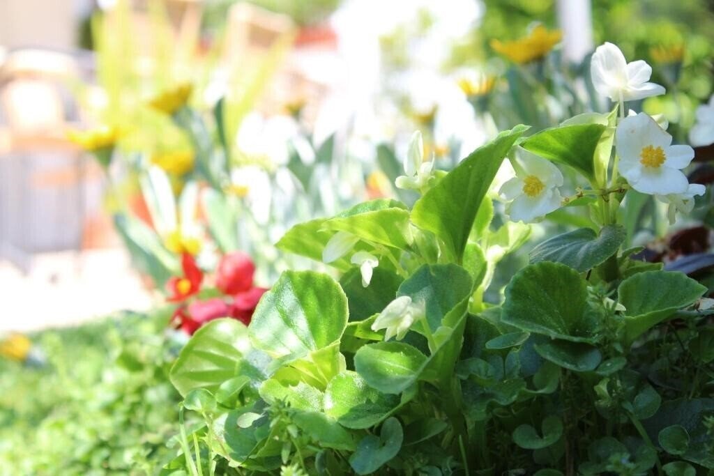 Изображение Mare Azzurro 3*