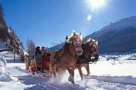 Fotografie Cielo Blu 3*