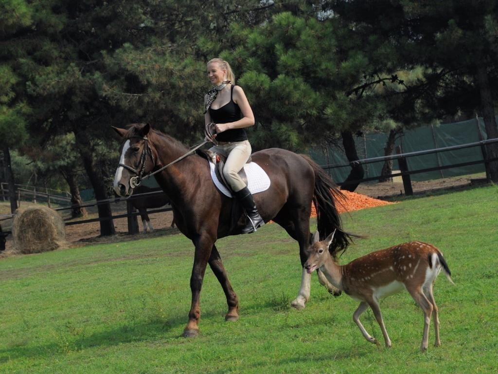 Imaginea Albarella Island Apartments 1*