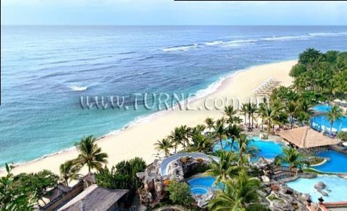 Fotografii Orchidee 3*