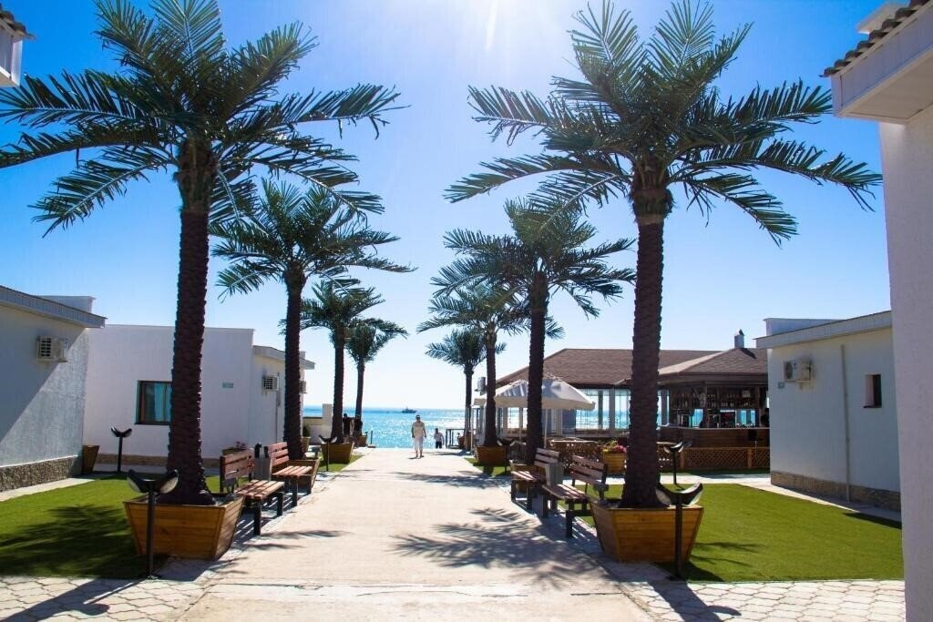 Отель Tree Of Life 4*