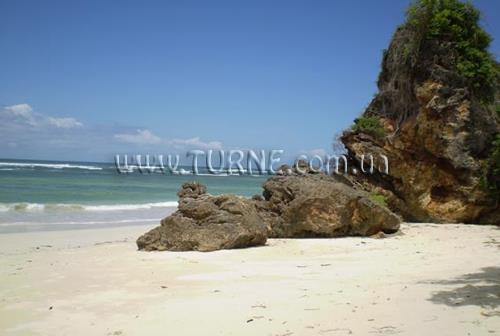 Imaginea Msambweni Beach House & Privates Villas 5*