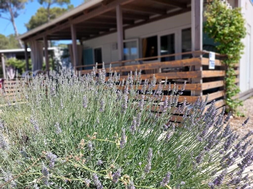 Hotel Holiday Homes Camp Park Soline 3*