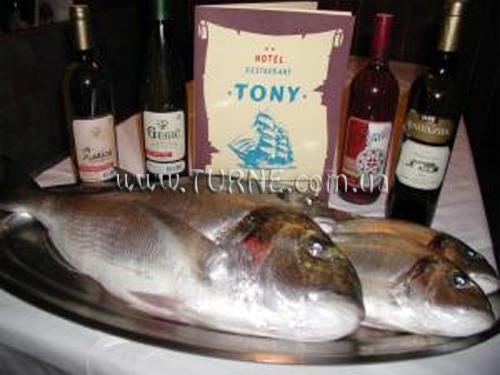 Fotografii Toni Hotel 2*