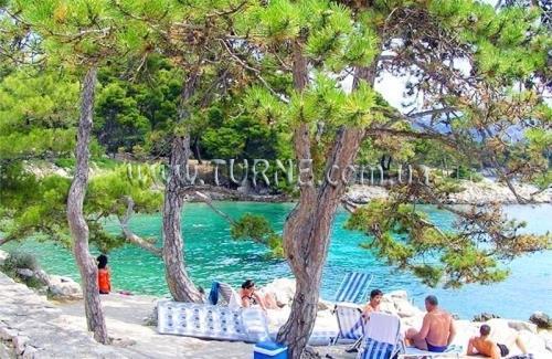 Fotografie Tourist resort Suha Punta 3*