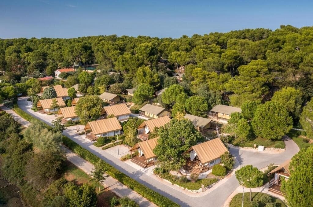 Изображение Arena One 99 Glamping 4*