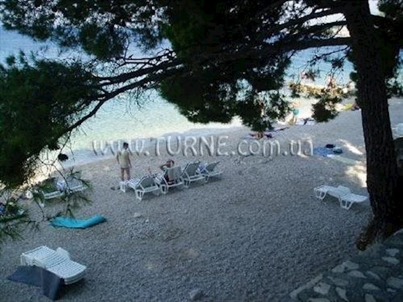 Hotel Medora Auri Family Beach (ex. Minerva) 4*