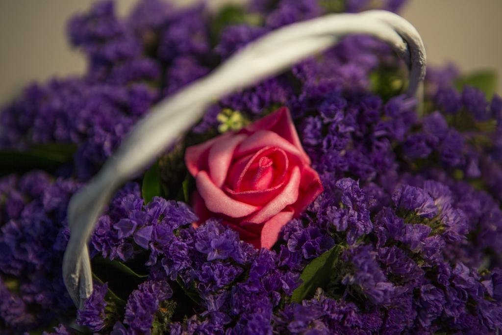 Фотография Boutique Hotel Melissa 5*