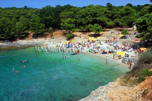 Отель Hotel Pula Resort 3*