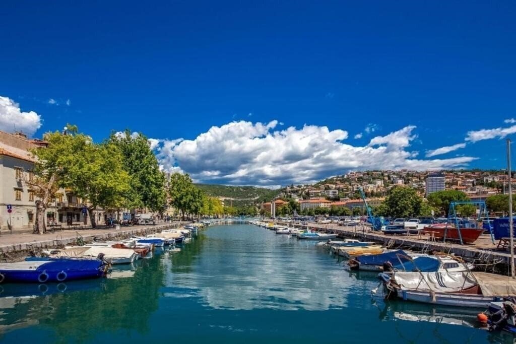 Imaginea App Greis 2*