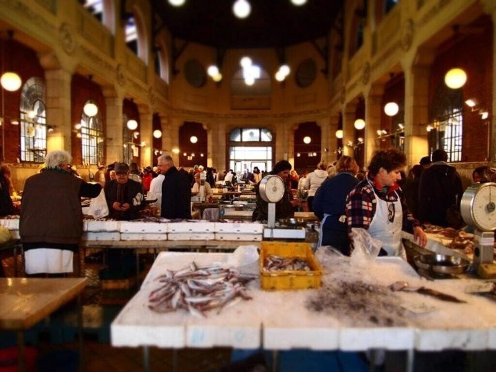 Fotografii App Greis 2*