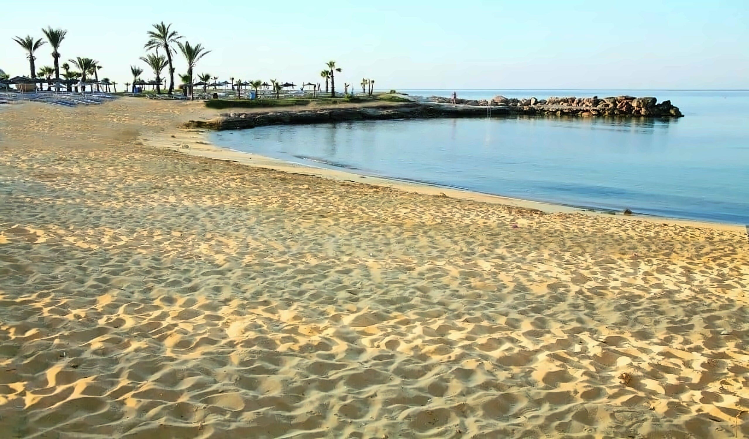 Изображение Deluxe Wing 5*